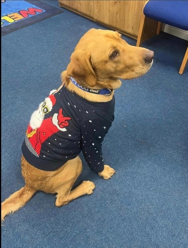 Christmas Jumper Christmas Jumper